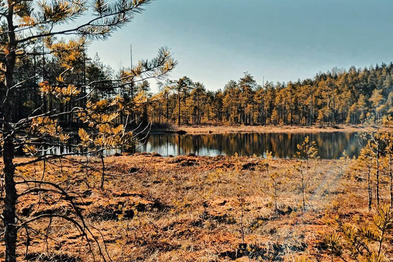 pilke_image09.jpg